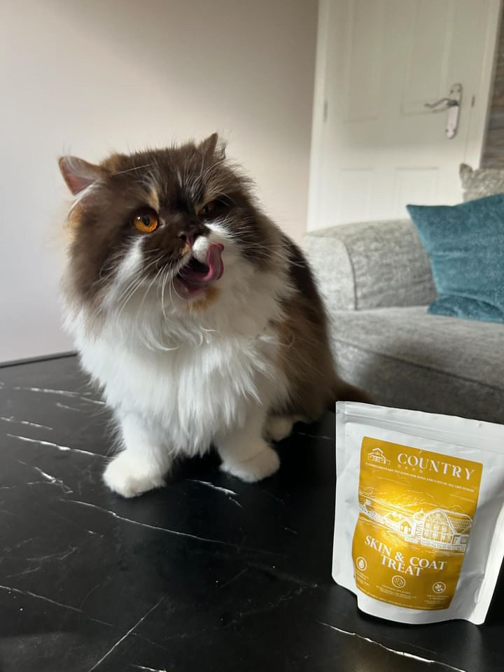 Skin & Coat Boost Chicken Dog Treats | Omega-3, Zinc & Biotin for a Healthy, Shiny Coat