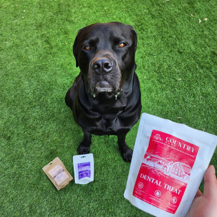 Country Barn Turkey Dental Bites | Activated Charcoal & Peppermint Dog Treats