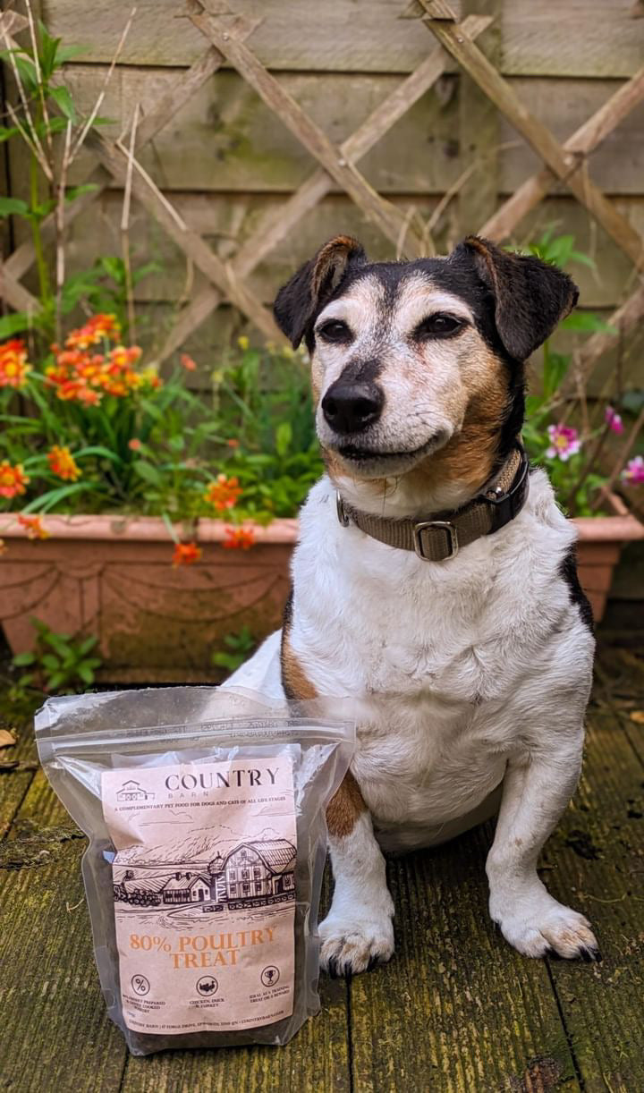 Country Barn Chicken, Duck & Turkey Dog Treats | 80% Freshly Prepared Poultry