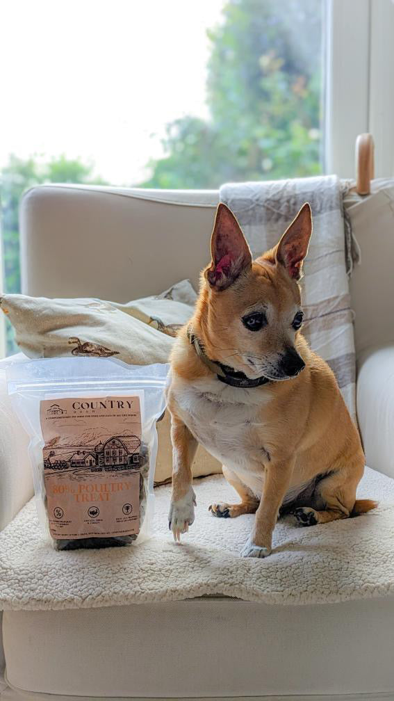 Country Barn Chicken, Duck & Turkey Dog Treats | 80% Freshly Prepared Poultry