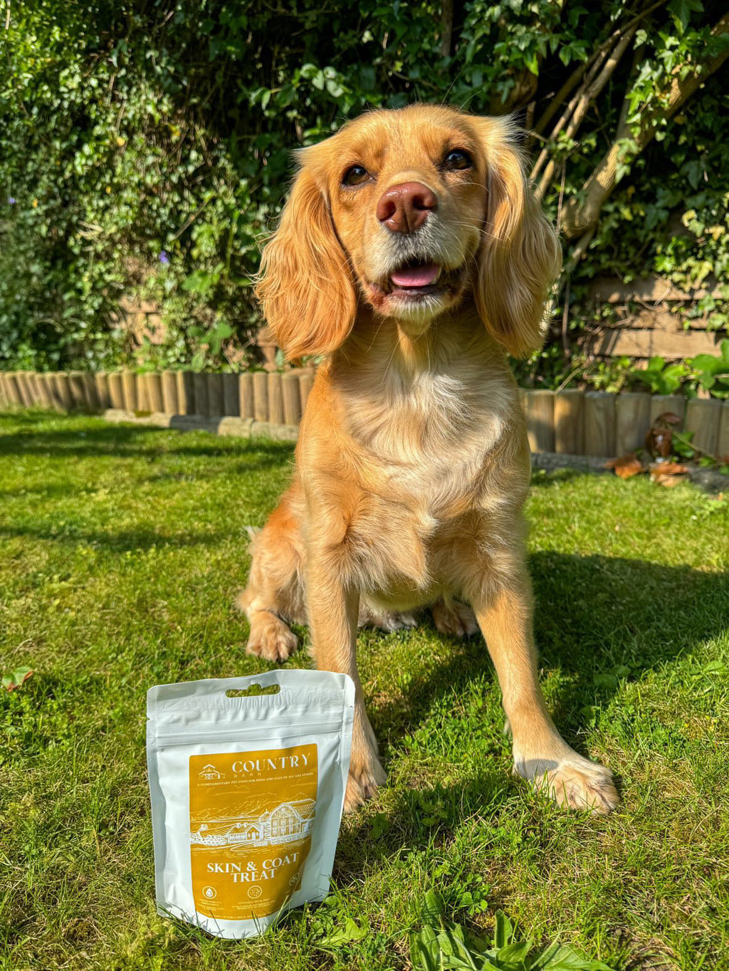 Skin & Coat Boost Chicken Dog Treats | Omega-3, Zinc & Biotin for a Healthy, Shiny Coat