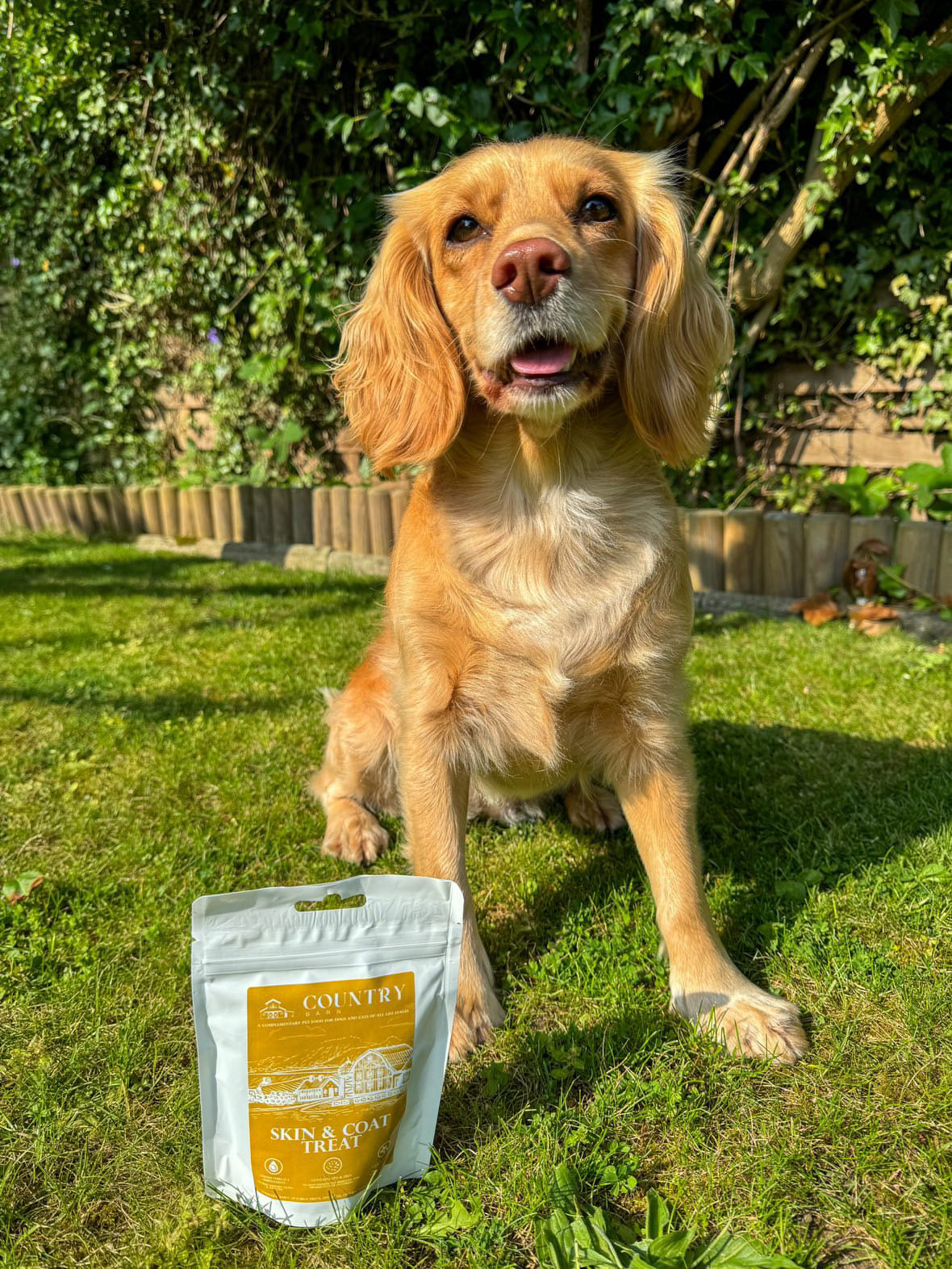 Skin & Coat Boost Chicken Dog Treats | Omega-3, Zinc & Biotin for a Healthy, Shiny Coat