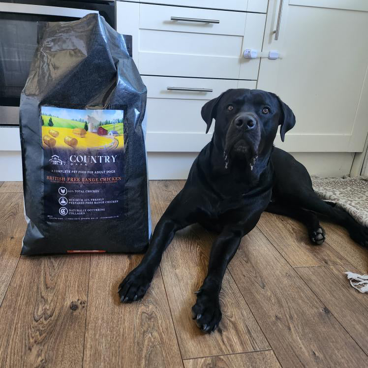 Country Barn Superfood British Free-Range Chicken with Ginger, Pomegranate, Kale, Artichoke & Blueberry | Grain-Free Adult Dog Food