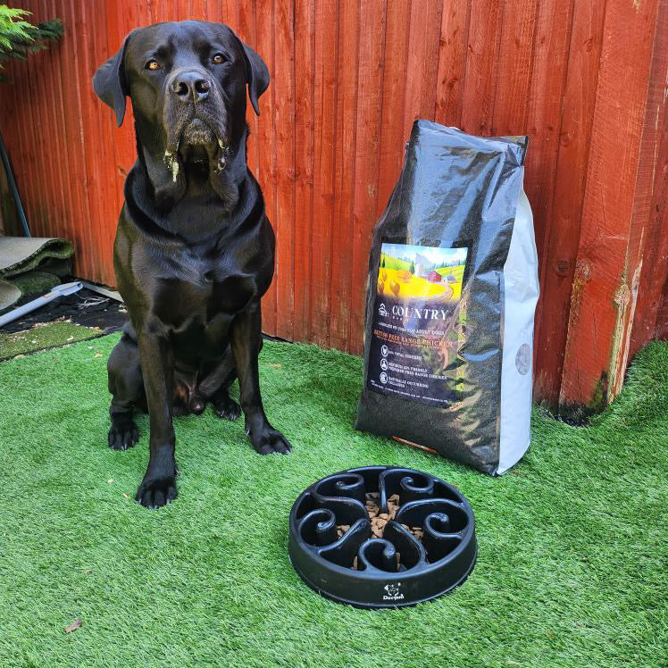 Country Barn Superfood British Free-Range Chicken with Ginger, Pomegranate, Kale, Artichoke & Blueberry | Grain-Free Adult Dog Food