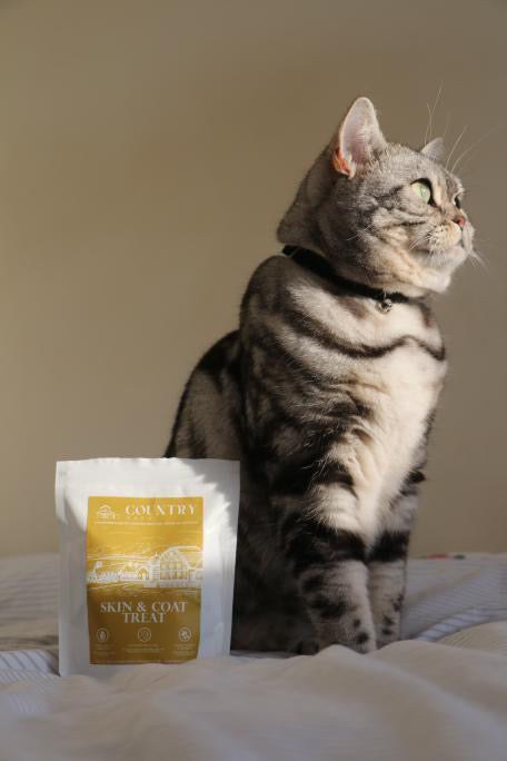 Skin & Coat Boost Chicken Dog Treats | Omega-3, Zinc & Biotin for a Healthy, Shiny Coat