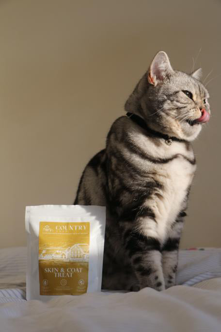Skin & Coat Boost Chicken Dog Treats | Omega-3, Zinc & Biotin for a Healthy, Shiny Coat