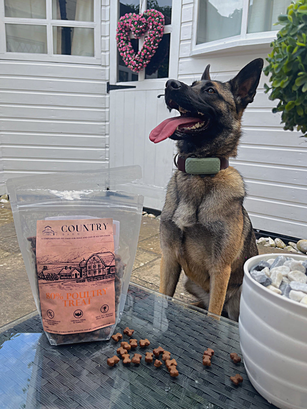 Country Barn Chicken, Duck & Turkey Dog Treats | 80% Freshly Prepared Poultry
