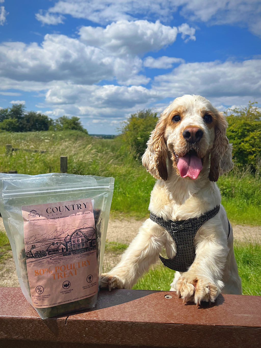Country Barn Chicken, Duck & Turkey Dog Treats | 80% Freshly Prepared Poultry