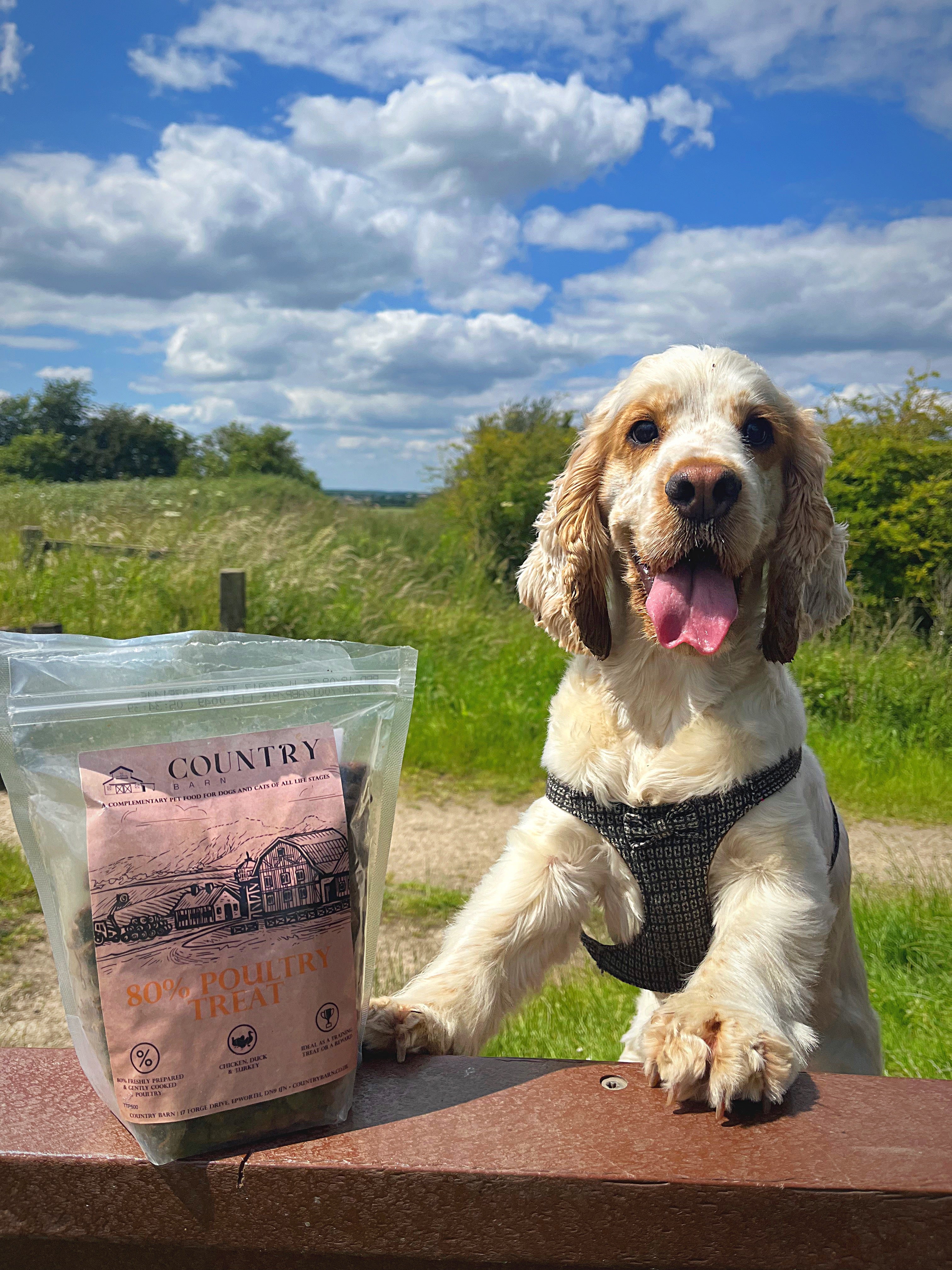 Country Barn Chicken, Duck & Turkey Dog Treats | 80% Freshly Prepared Poultry