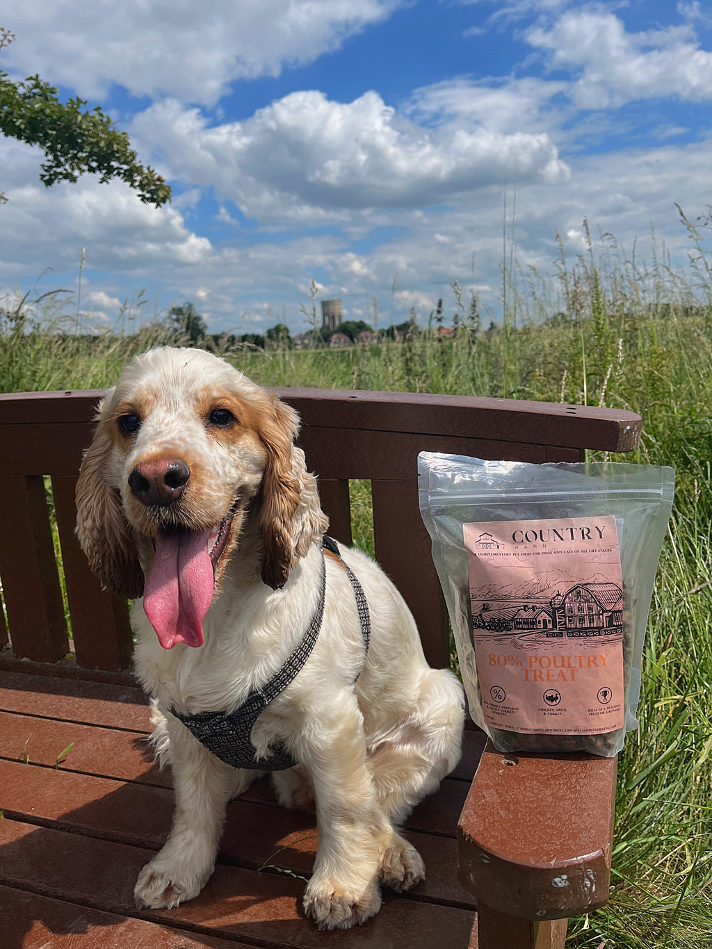 Country Barn Chicken, Duck & Turkey Dog Treats | 80% Freshly Prepared Poultry