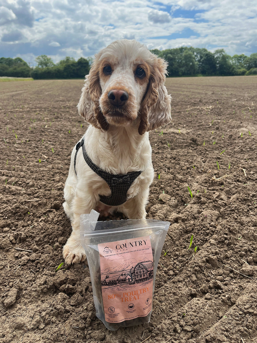Country Barn Chicken, Duck & Turkey Dog Treats | 80% Freshly Prepared Poultry