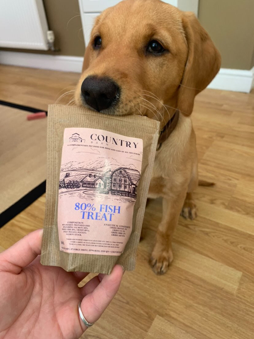 80% Salmon, Trout & White Fish High-Protein Dog Treats | 100g & 500g