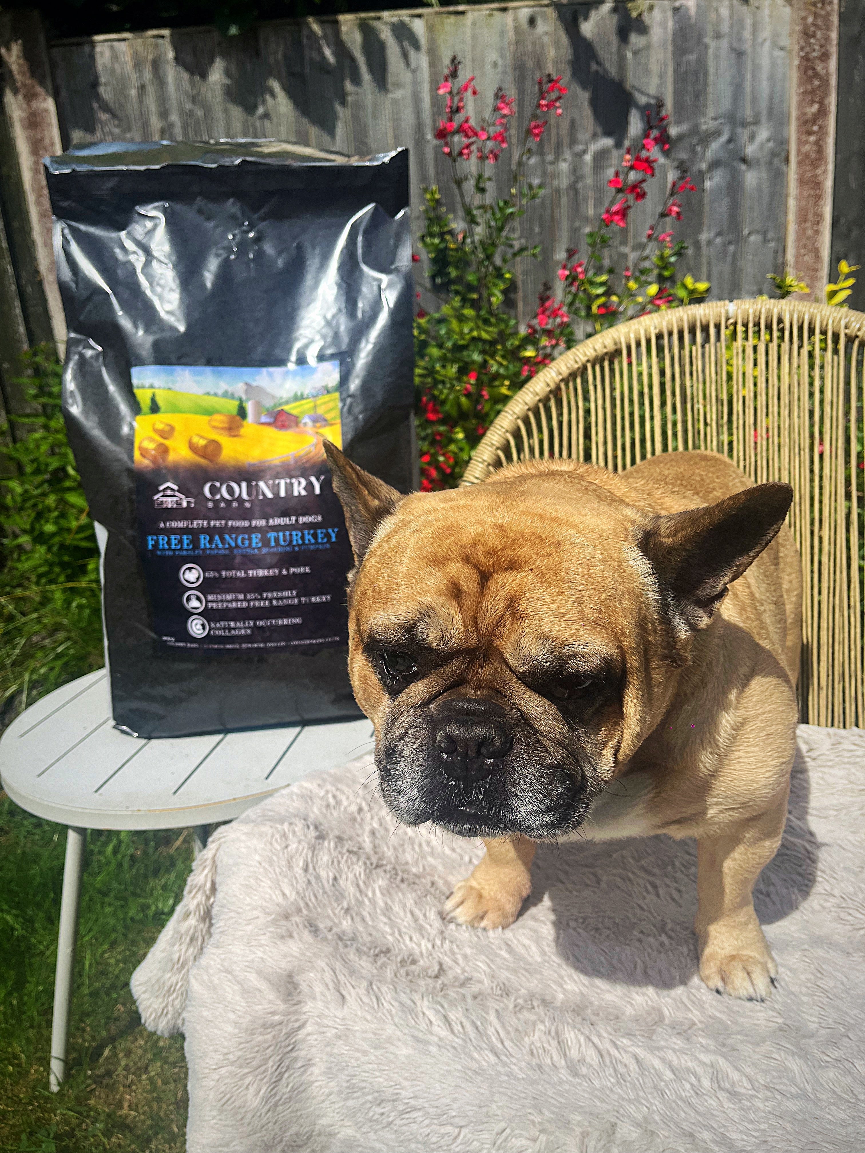 Country Barn Superfood Free-Range Turkey & Pork with Parsley, Papaya, Nettle, Zucchini & Pumpkin | Grain-Free Adult Dog Food
