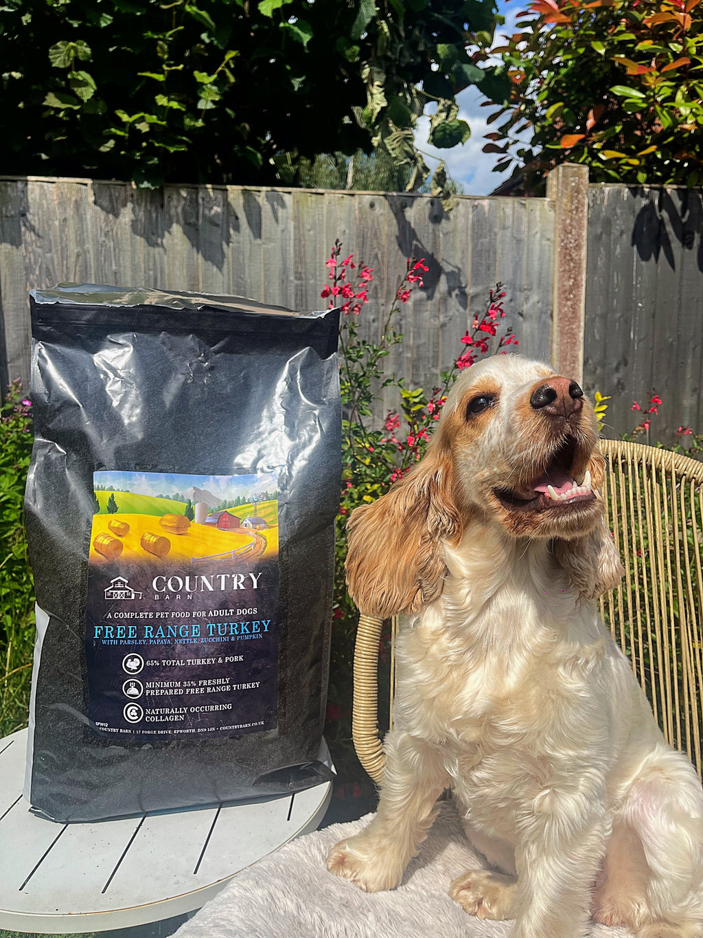 Country Barn Superfood Free-Range Turkey & Pork with Parsley, Papaya, Nettle, Zucchini & Pumpkin | Grain-Free Adult Dog Food