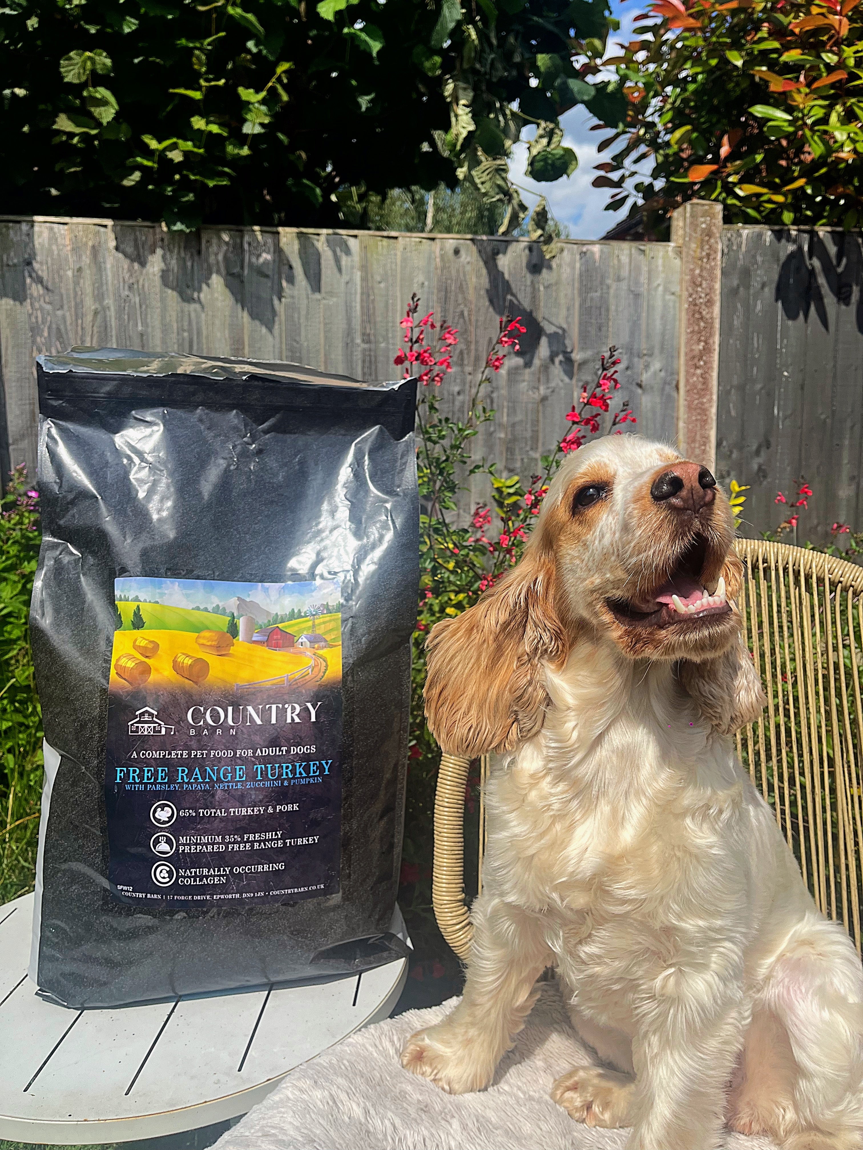 Country Barn Superfood Free-Range Turkey & Pork with Parsley, Papaya, Nettle, Zucchini & Pumpkin | Grain-Free Adult Dog Food