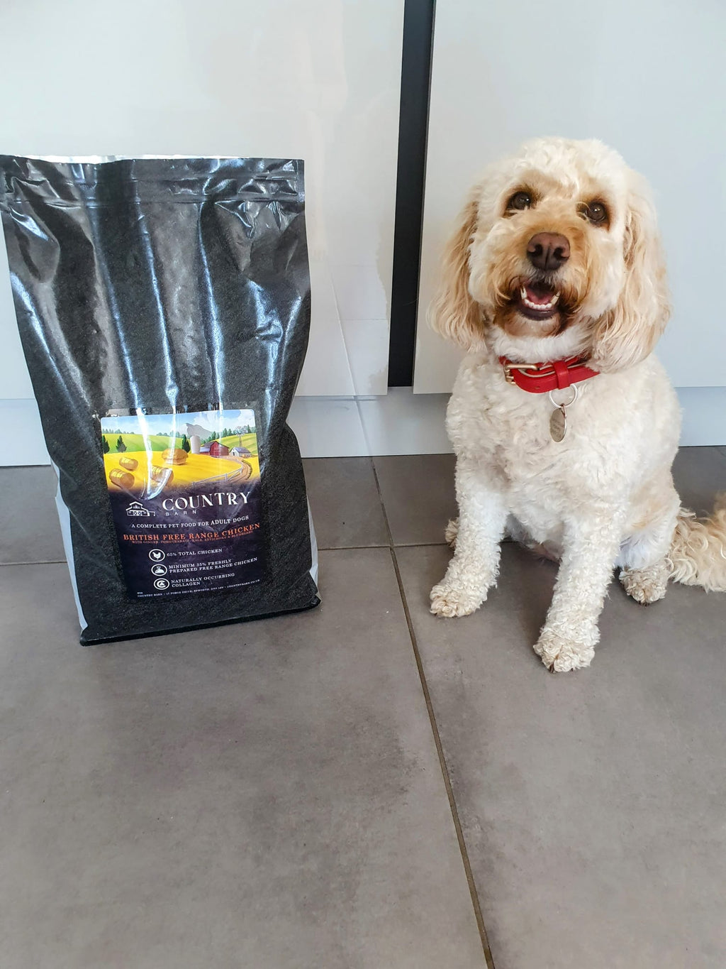 Country Barn Superfood British Free-Range Chicken with Ginger, Pomegranate, Kale, Artichoke & Blueberry | Grain-Free Adult Dog Food
