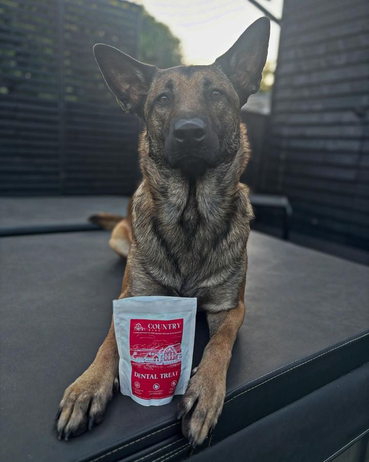 Country Barn Turkey Dental Bites | Activated Charcoal & Peppermint Dog Treats