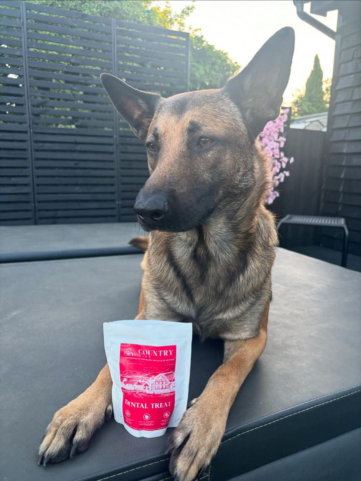 Country Barn Turkey Dental Bites | Activated Charcoal & Peppermint Dog Treats