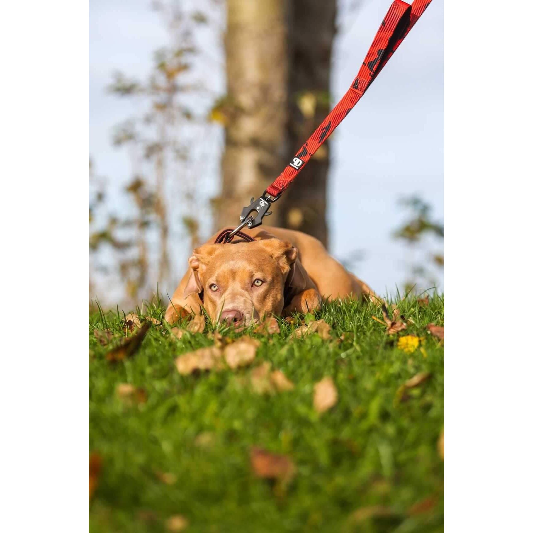 Red camouflage dog sport lead worn during outdoor walk, with metal clasp visible