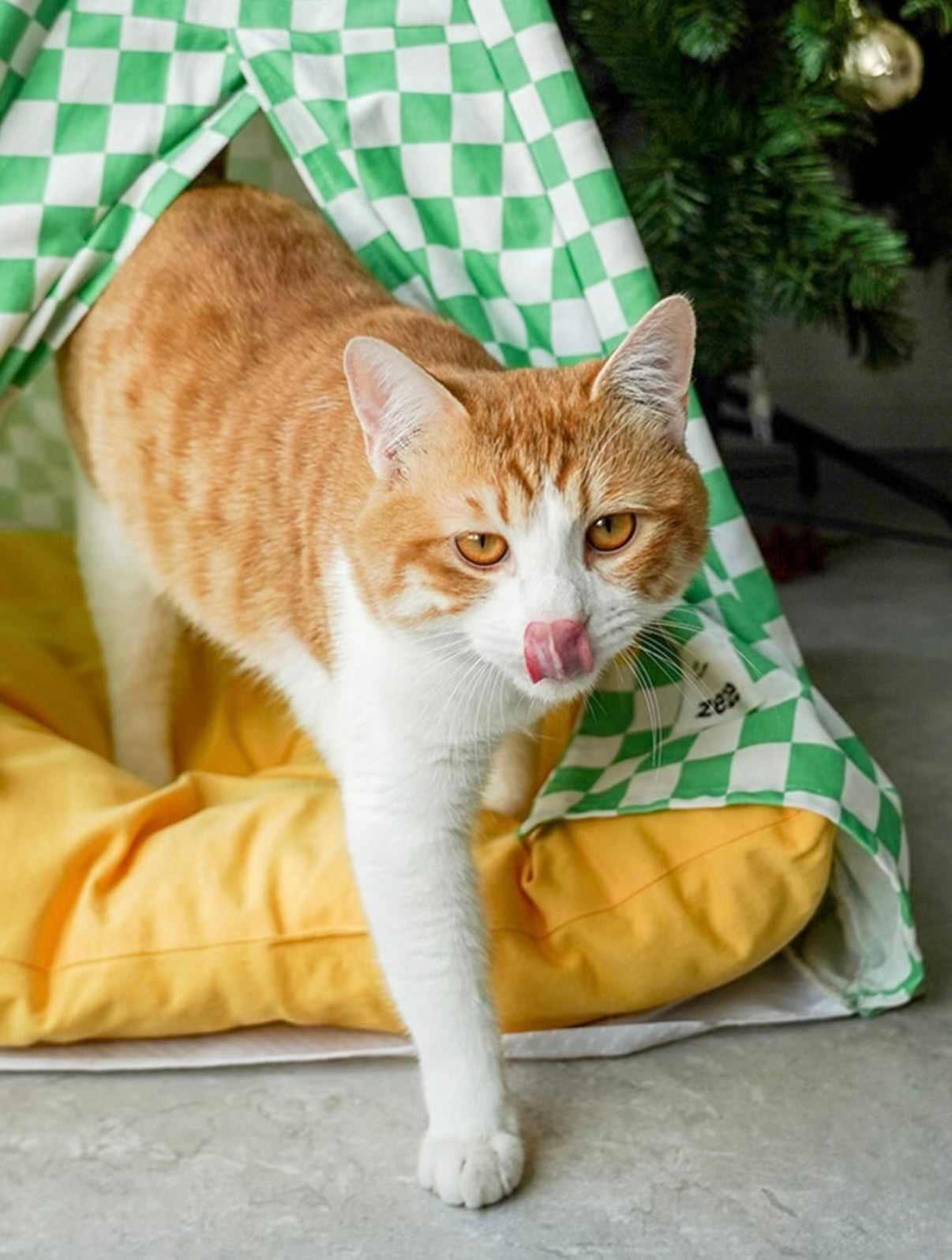 zeze Cat Camping Tent | Portable Indoor & Outdoor Cat Hideaway