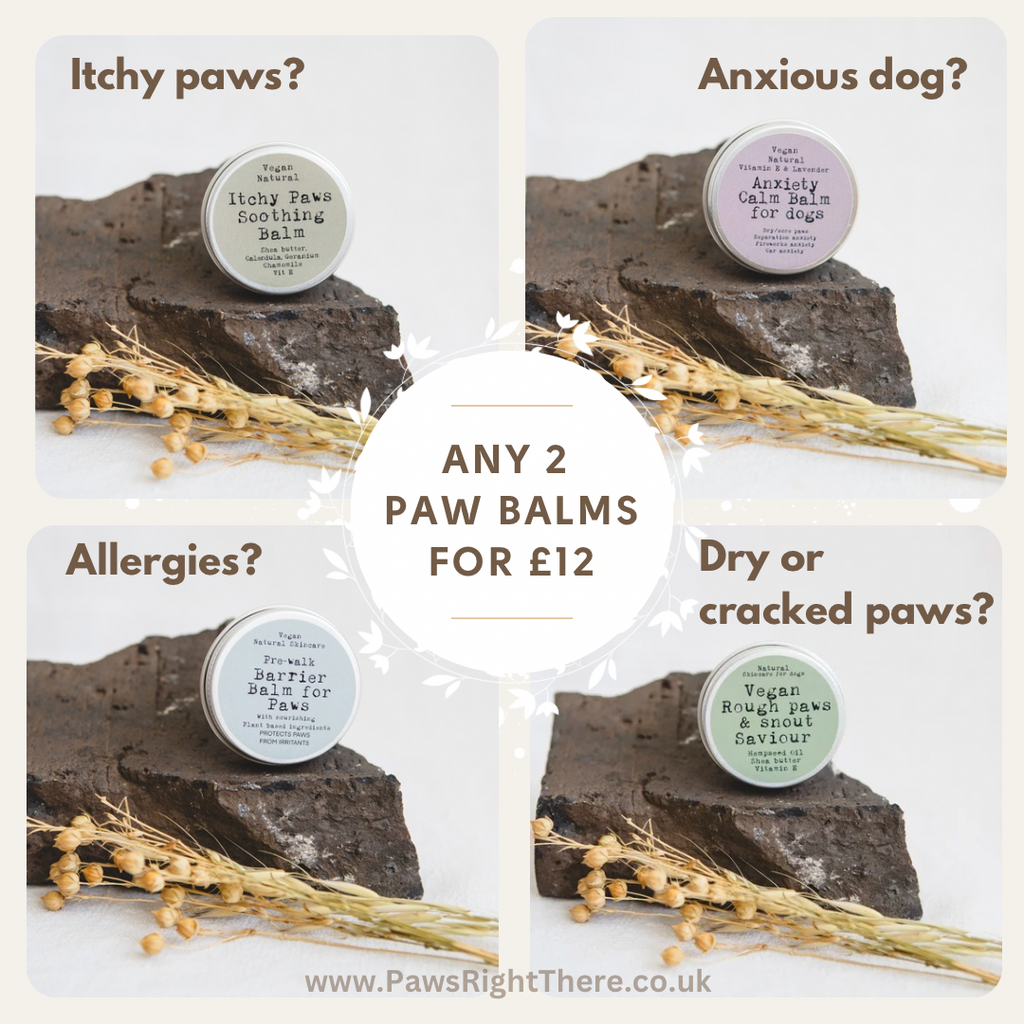 Rough Paws & Snout Saviour Balm| 100% Natural | Unscented