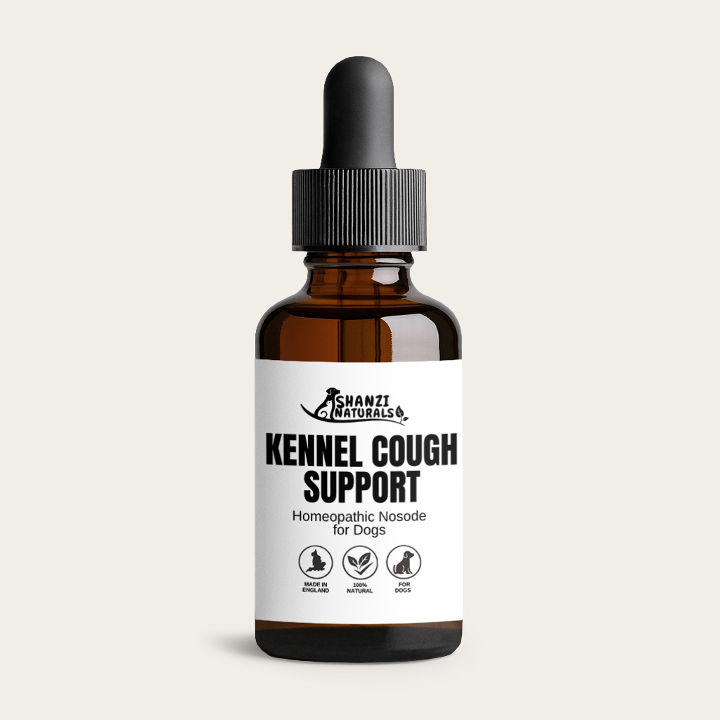Amber homeopathic nosode bottle with black dropper, Kennel Cough Support