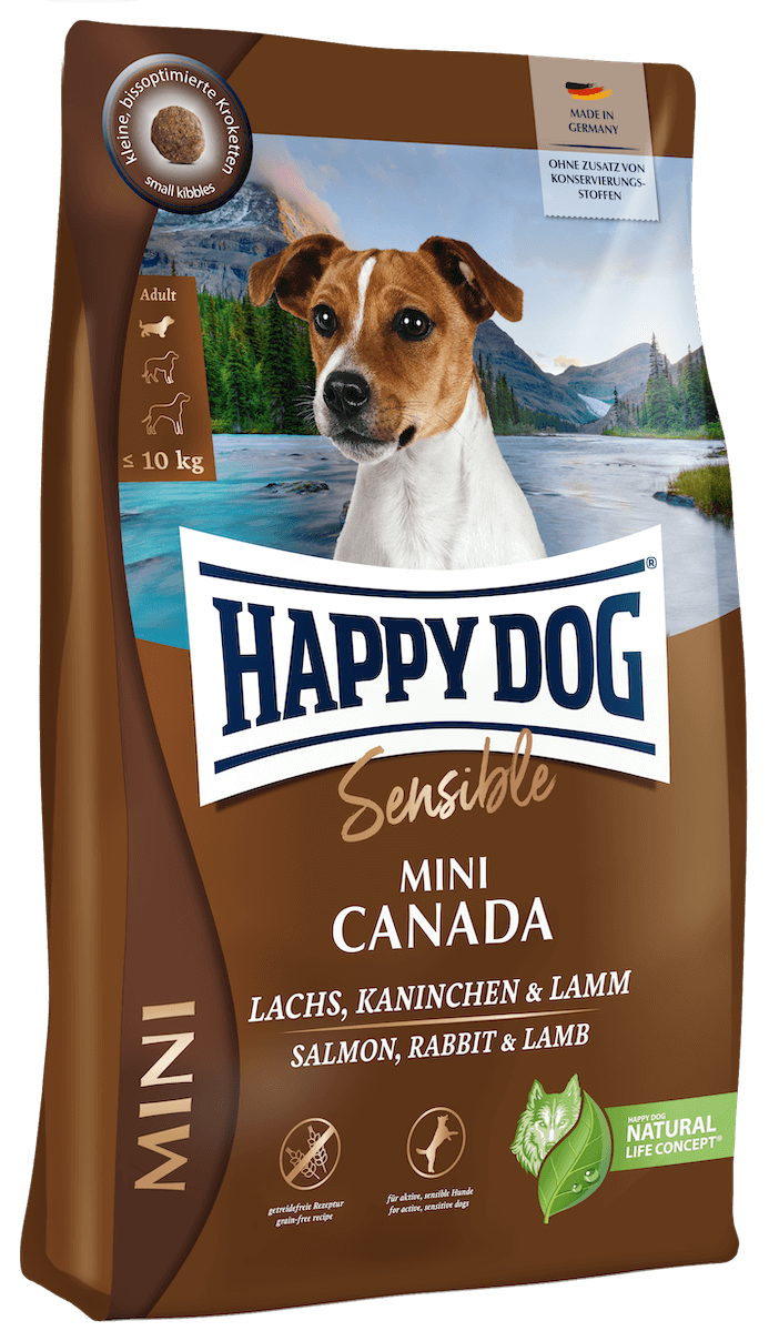 Mini Canada - Sensitive Dog