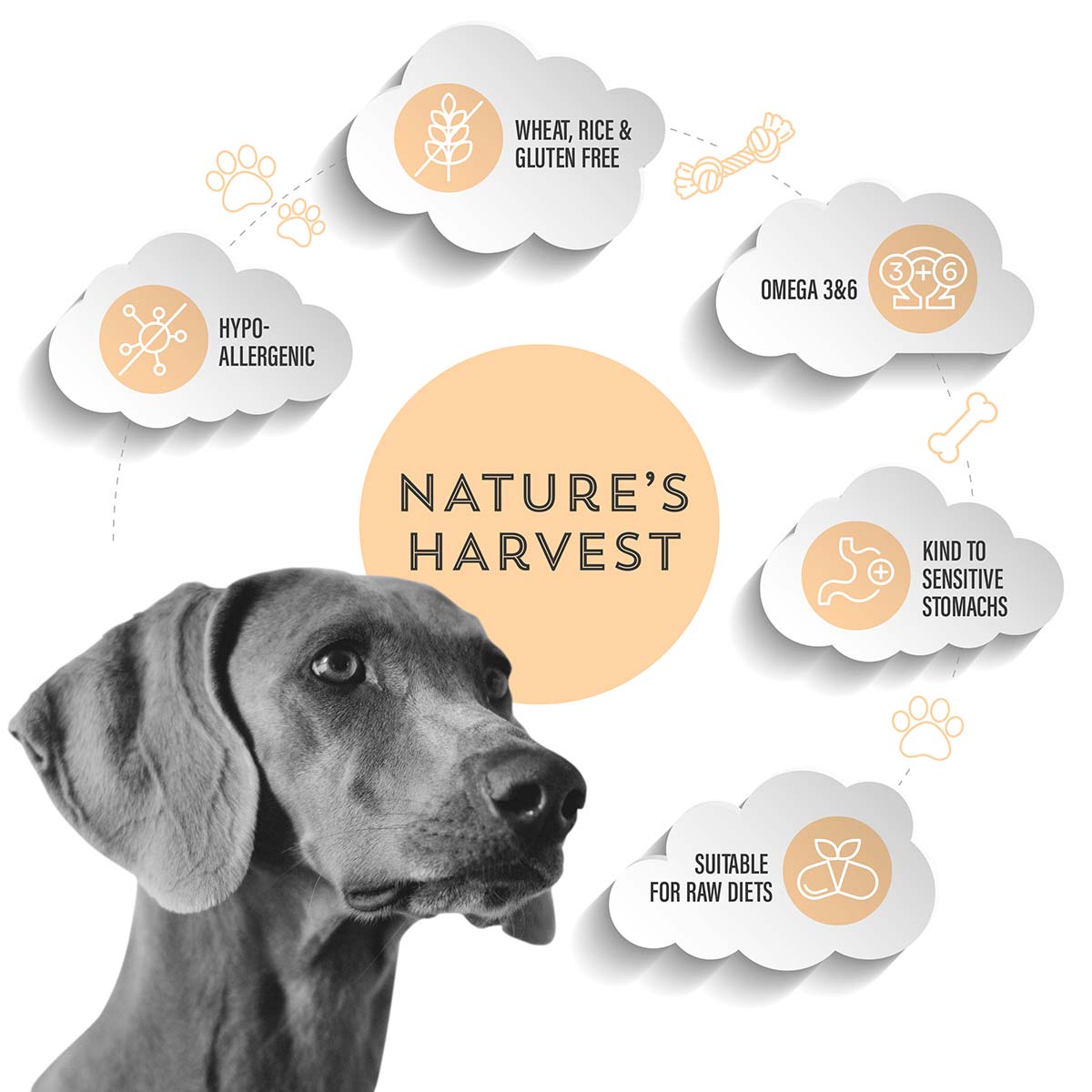 Cold Pressed Chicken and Sweet Potato 3KG Hypoallergenic Dog Food - Raw Made Easy