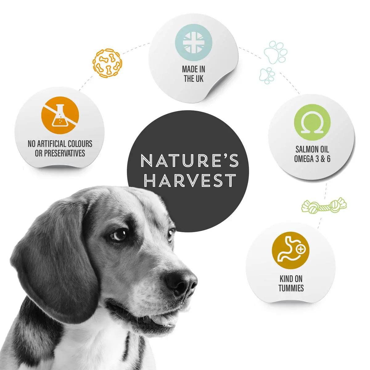 Nature's Harvest Variety Pack - Adult
