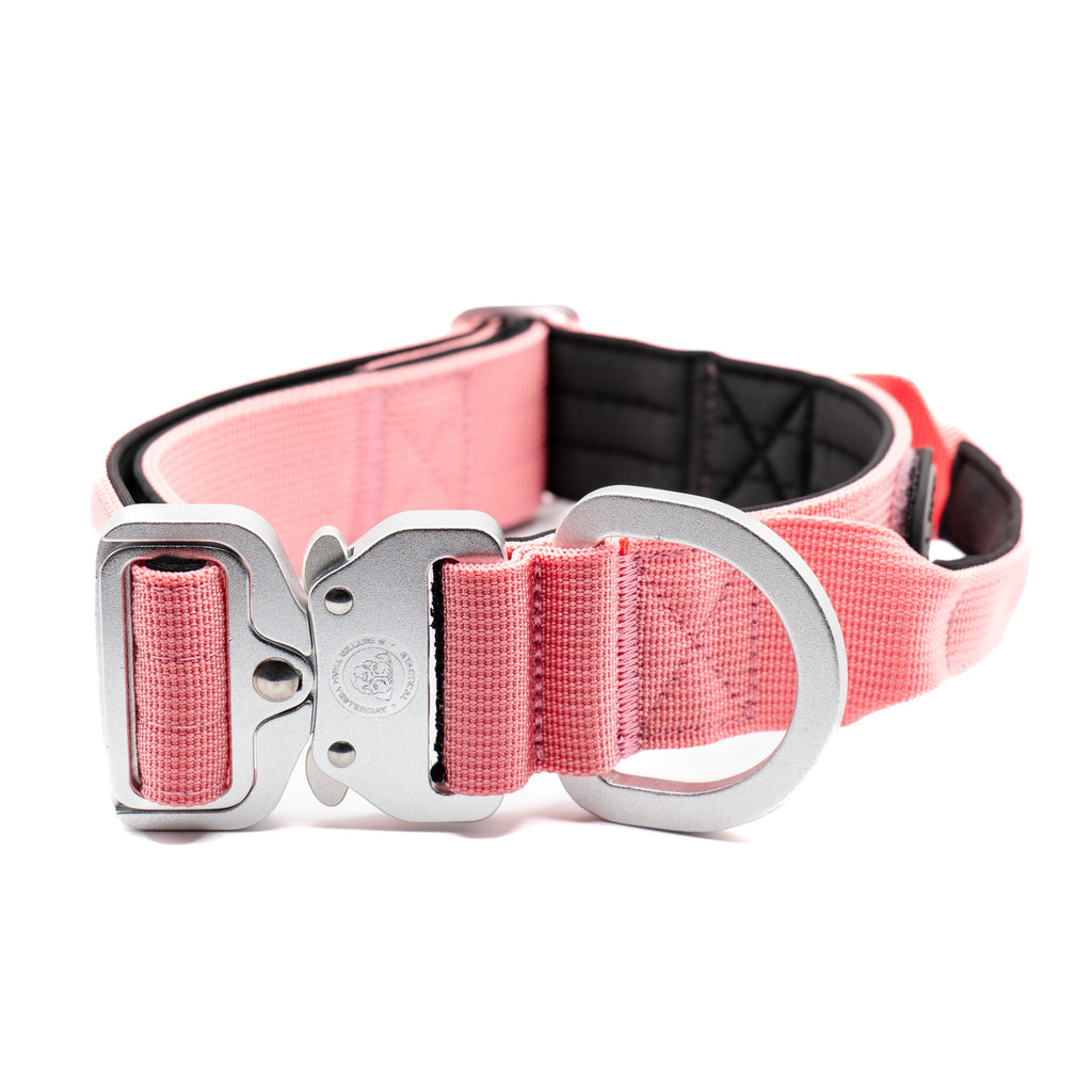 BTactical™ 4cm Tactical Dog Collar with Handle | Pretty Pink