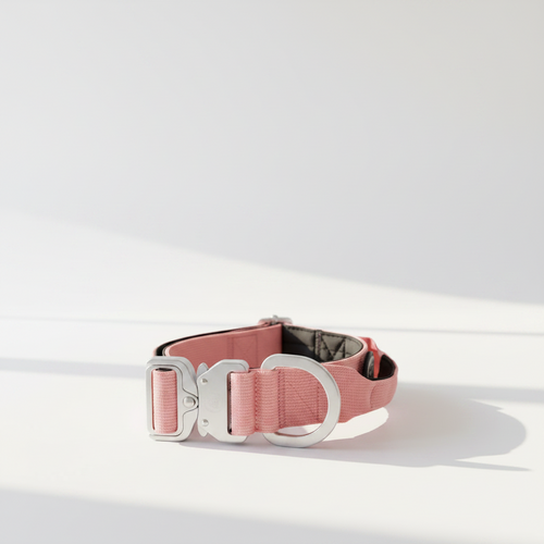 Pink tactical dog collar with handle, silver hardware and adjustable strap