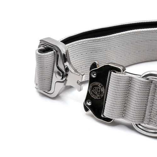 Misty grey nylon dog collar buckle and clasp with metal hardware and D-ring.