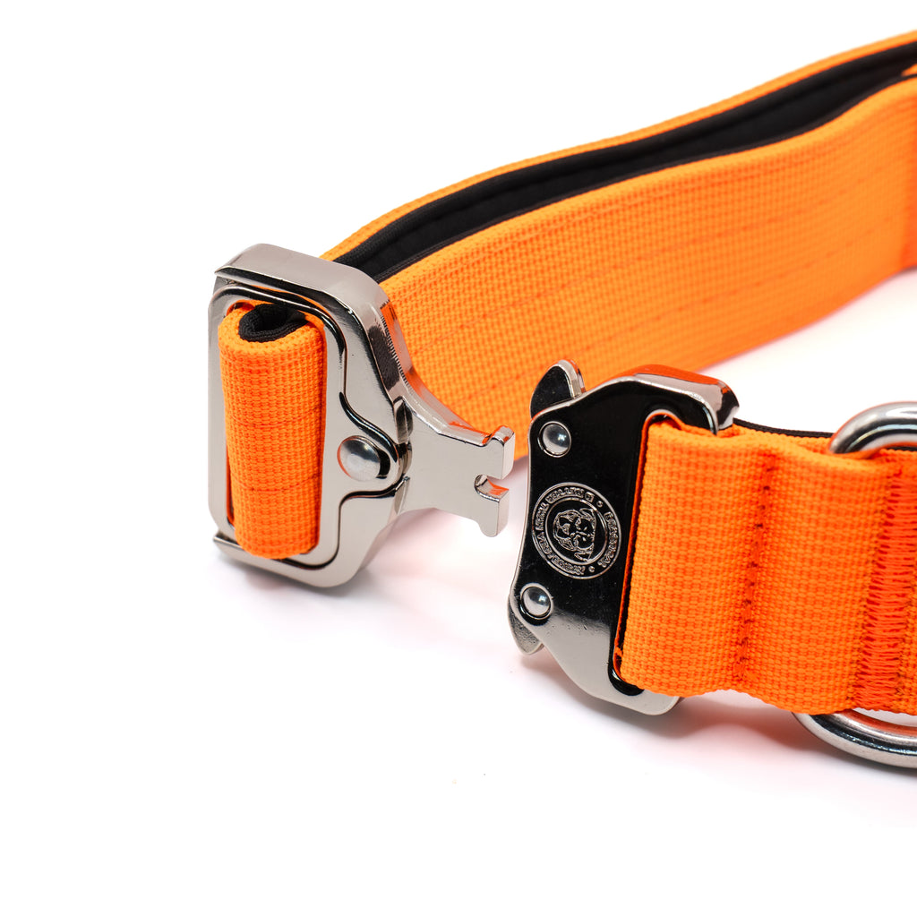 BTactical™ 4cm Tactical Dog Collar with Handle | Citrus Orange