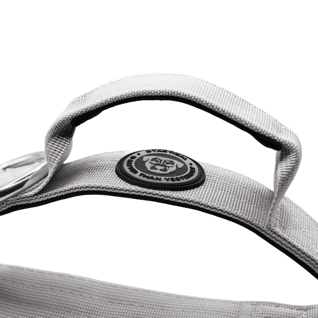 BTactical™ 4cm Tactical Dog Collar with Handle | Misty Grey