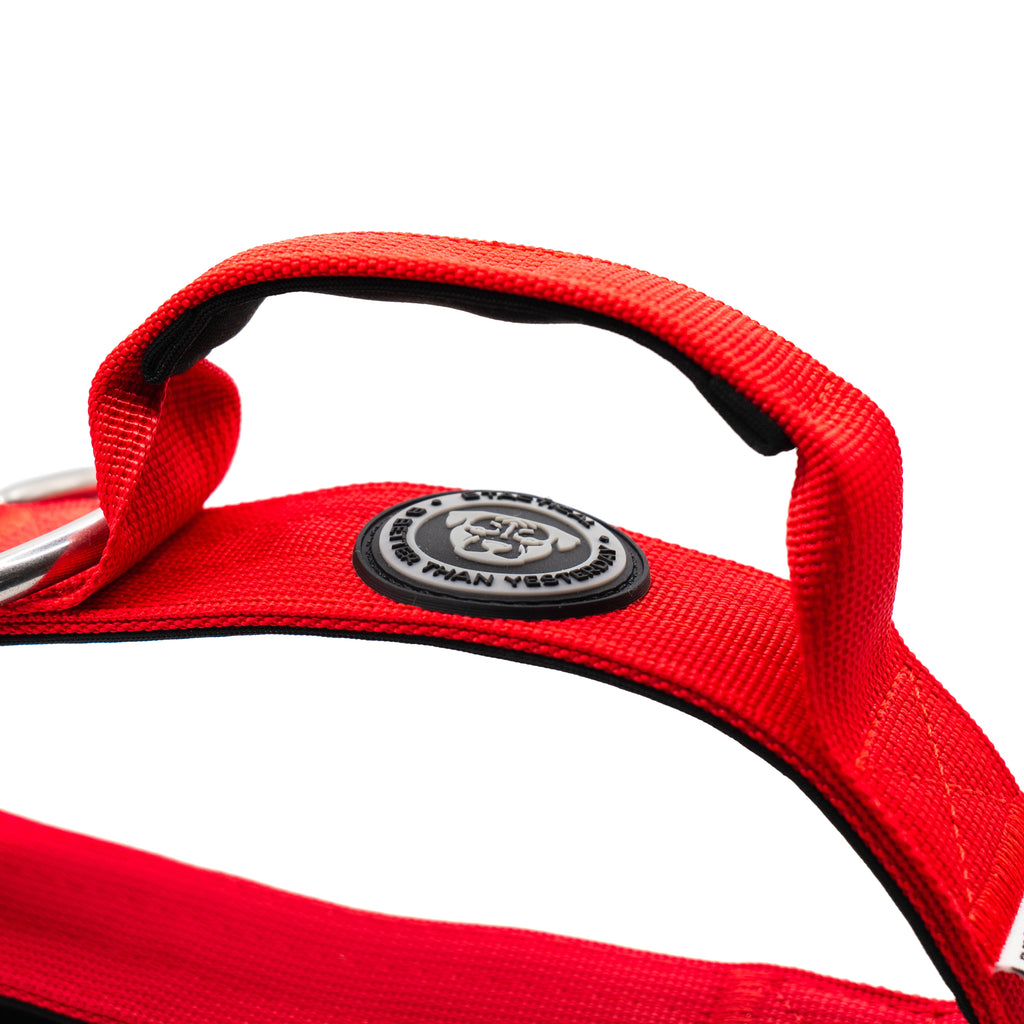 BTactical™ 4cm Tactical Dog Collar with Handle | Citrus Red