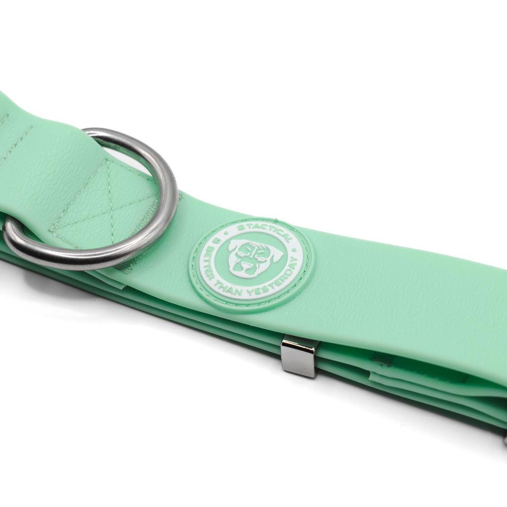 BTactical™ 4cm Waterproof PVC Dog Collar | Pastel Green