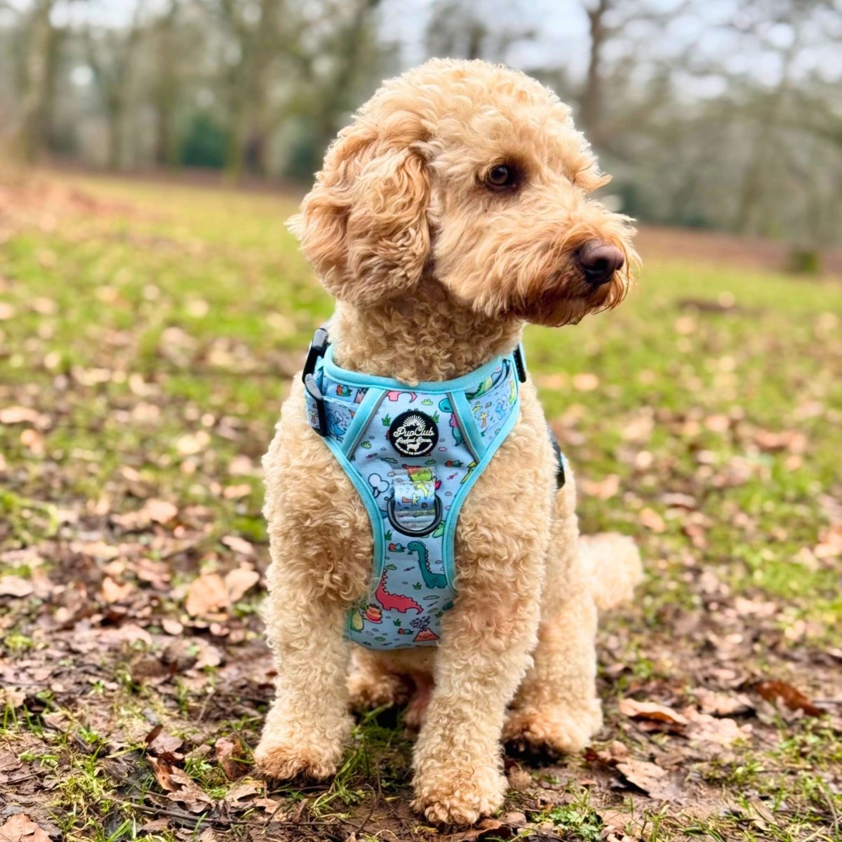 Blue dinosaur-print dog harness with black buckles, worn on a tan dog