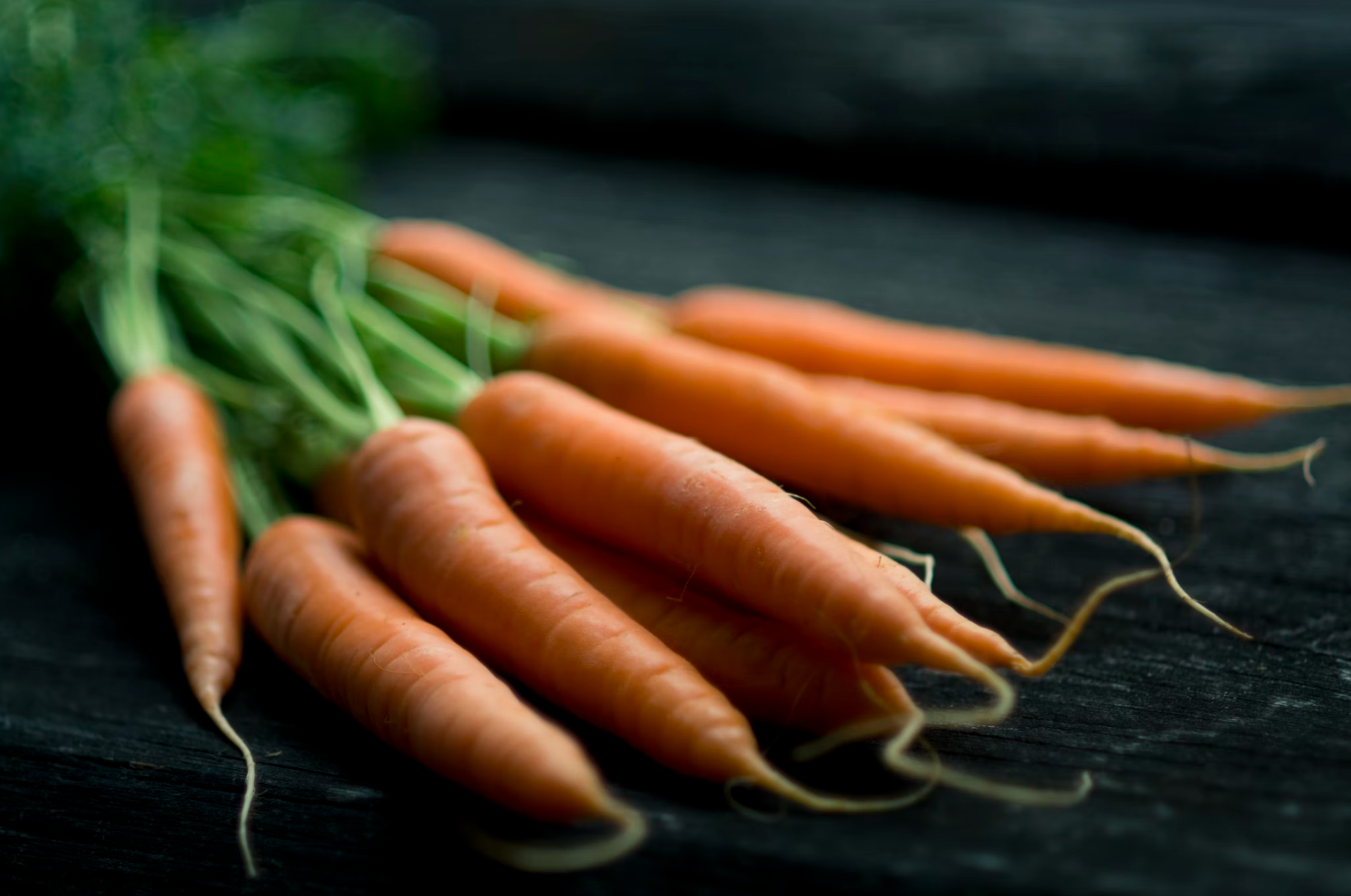 Country Barn Superfood Angus Beef with Carrot, Green Beans, Cauliflower, Tomato & Courgette | Grain-Free Adult Dog Food