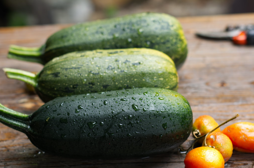 Country Barn Superfood Angus Beef with Carrot, Green Beans, Cauliflower, Tomato & Courgette | Grain-Free Adult Dog Food