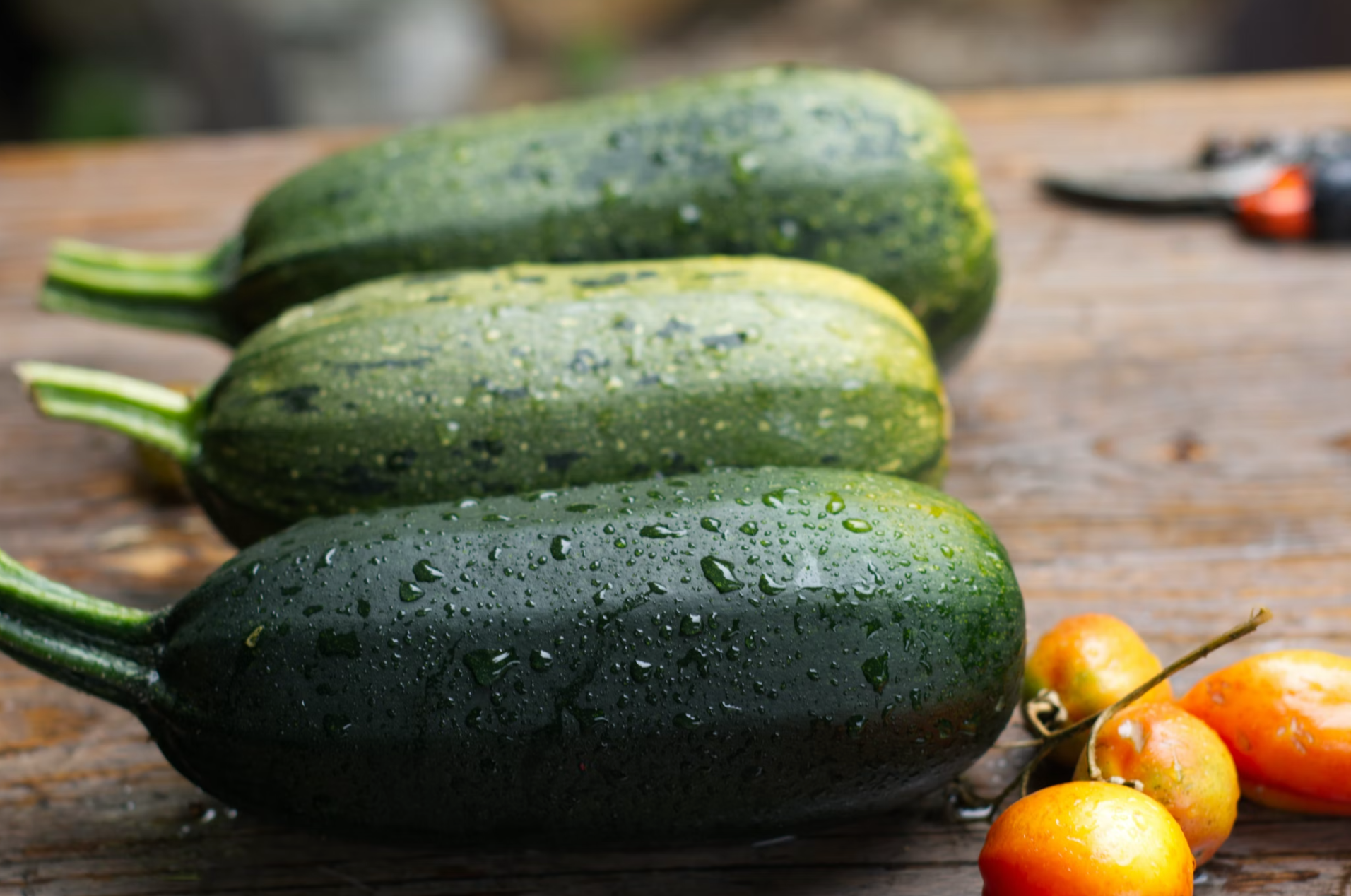 Country Barn Superfood Angus Beef with Carrot, Green Beans, Cauliflower, Tomato & Courgette | Grain-Free Adult Dog Food