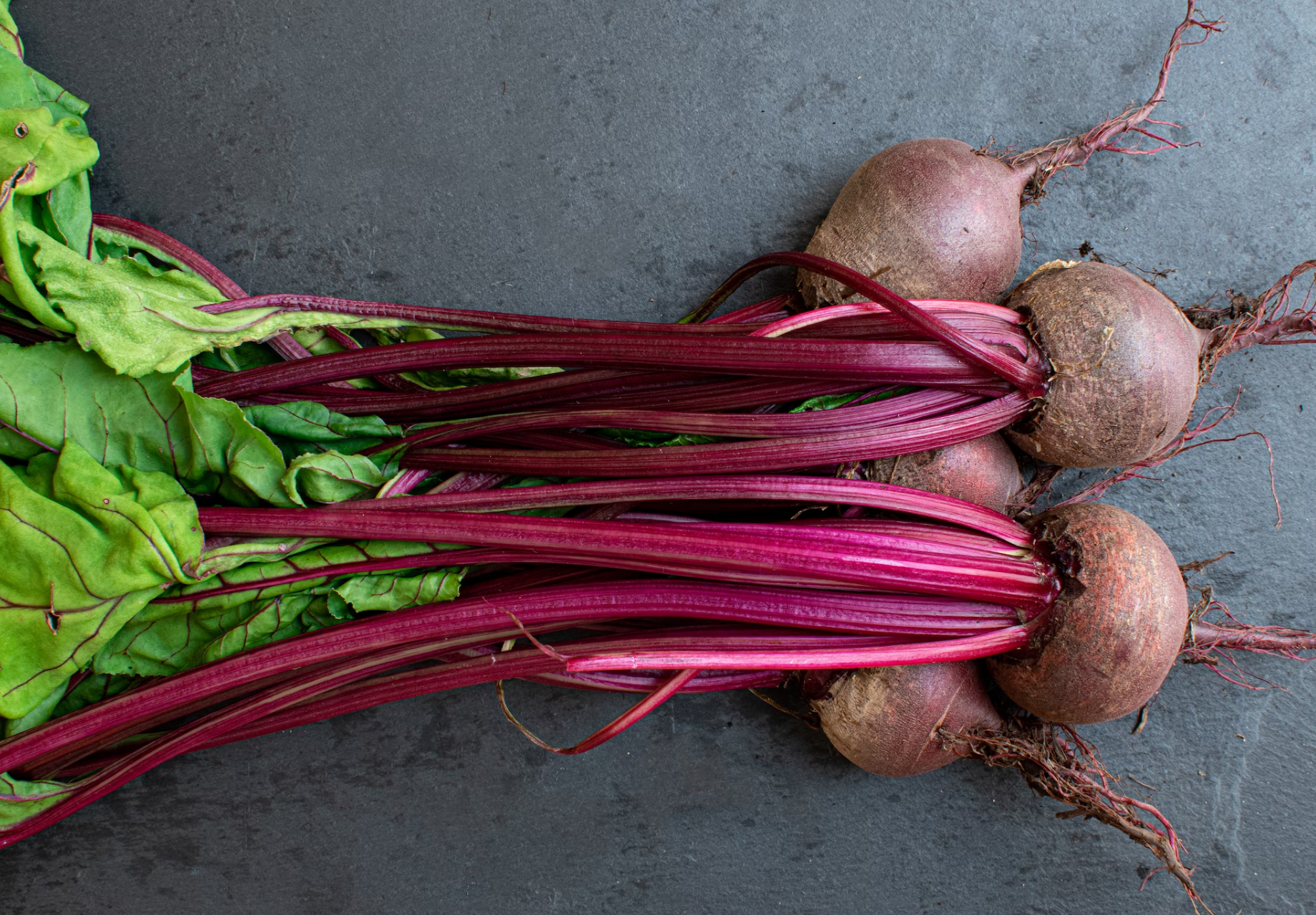 Country Barn Superfood Duck with Parsnip, Beetroot, Orange, Asparagus & Pumpkin | Adult Dog Food