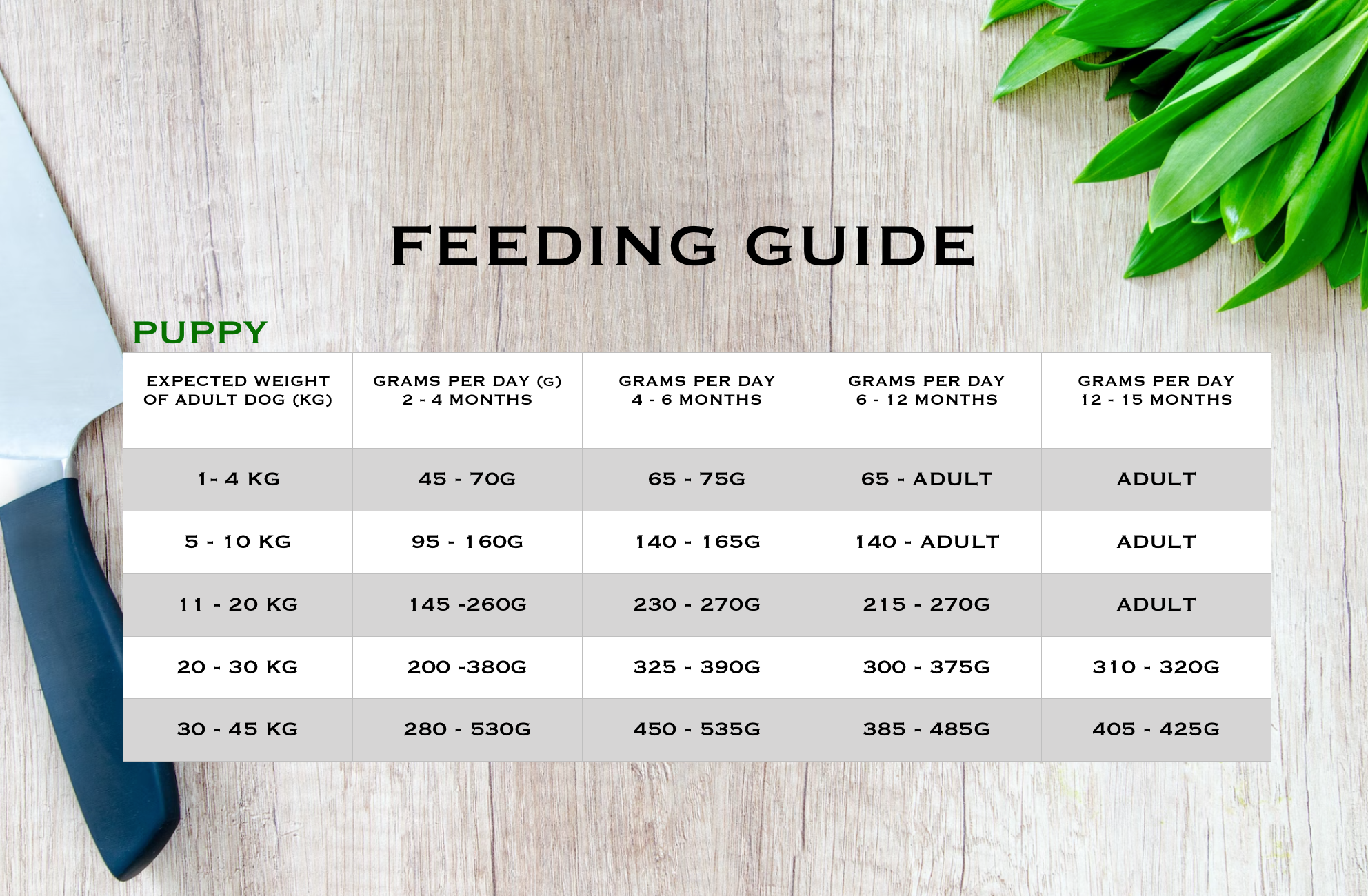 Country Barn Superfood Free-Range Turkey & Pork with Parsley, Papaya, Nettle, Zucchini & Pumpkin | Grain-Free Puppy Food