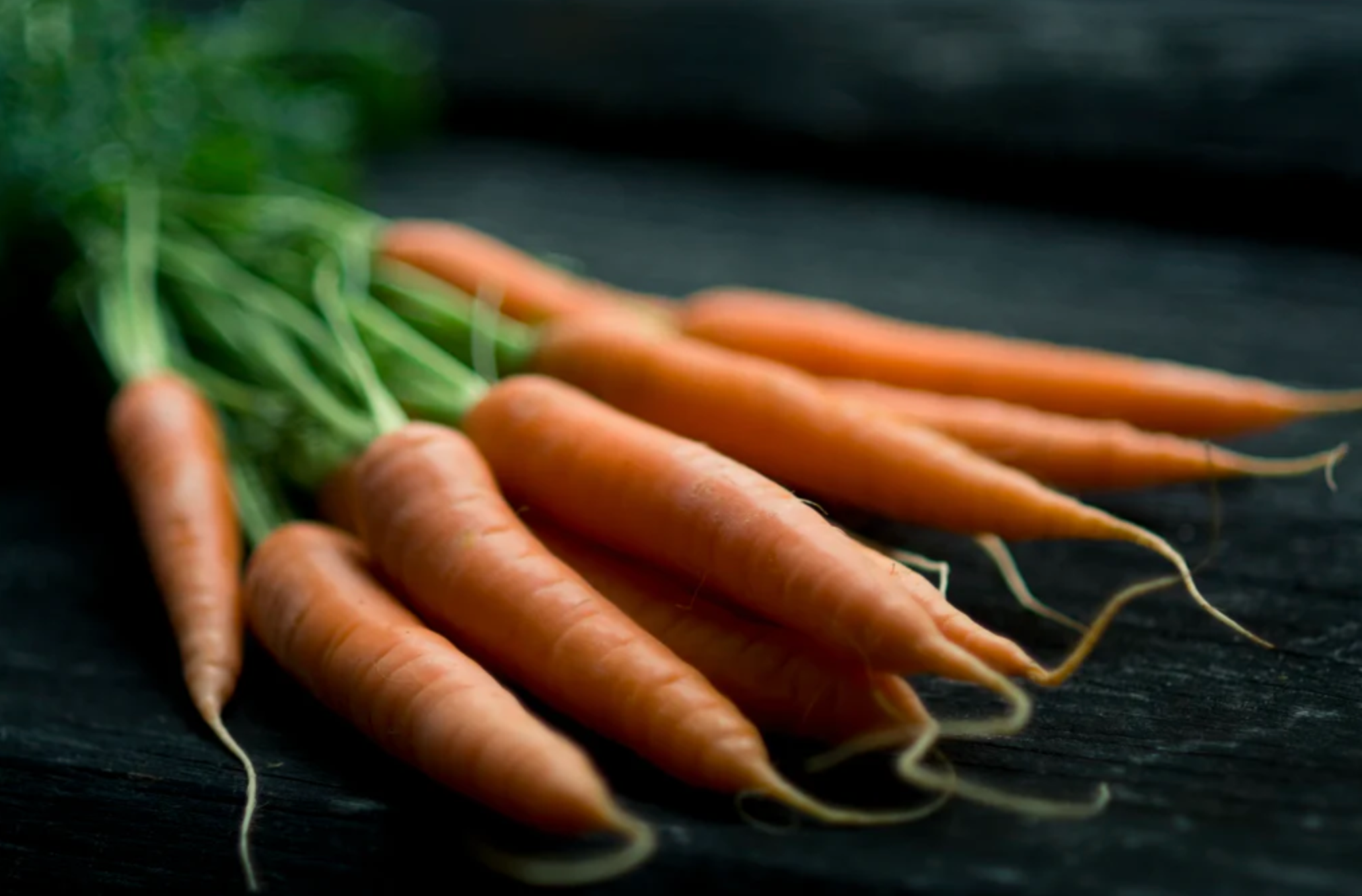 Grain Free Angus Beef & Carrot with Sweet Potato Dry Dog Food | Adult Dogs
