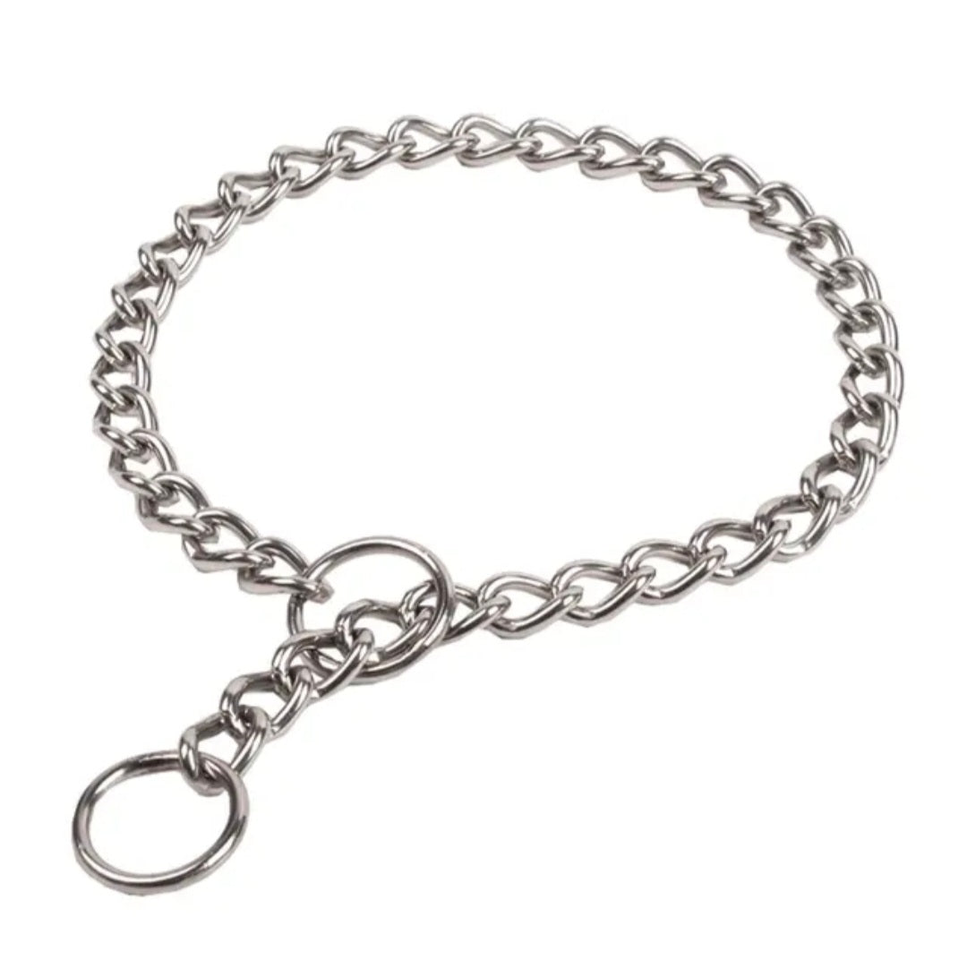 Stainless steel dog chain slip collar close-up with round ring and chain links