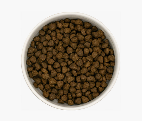 Bowl of dark brown kibble for Angus beef grain-free adult dog food
