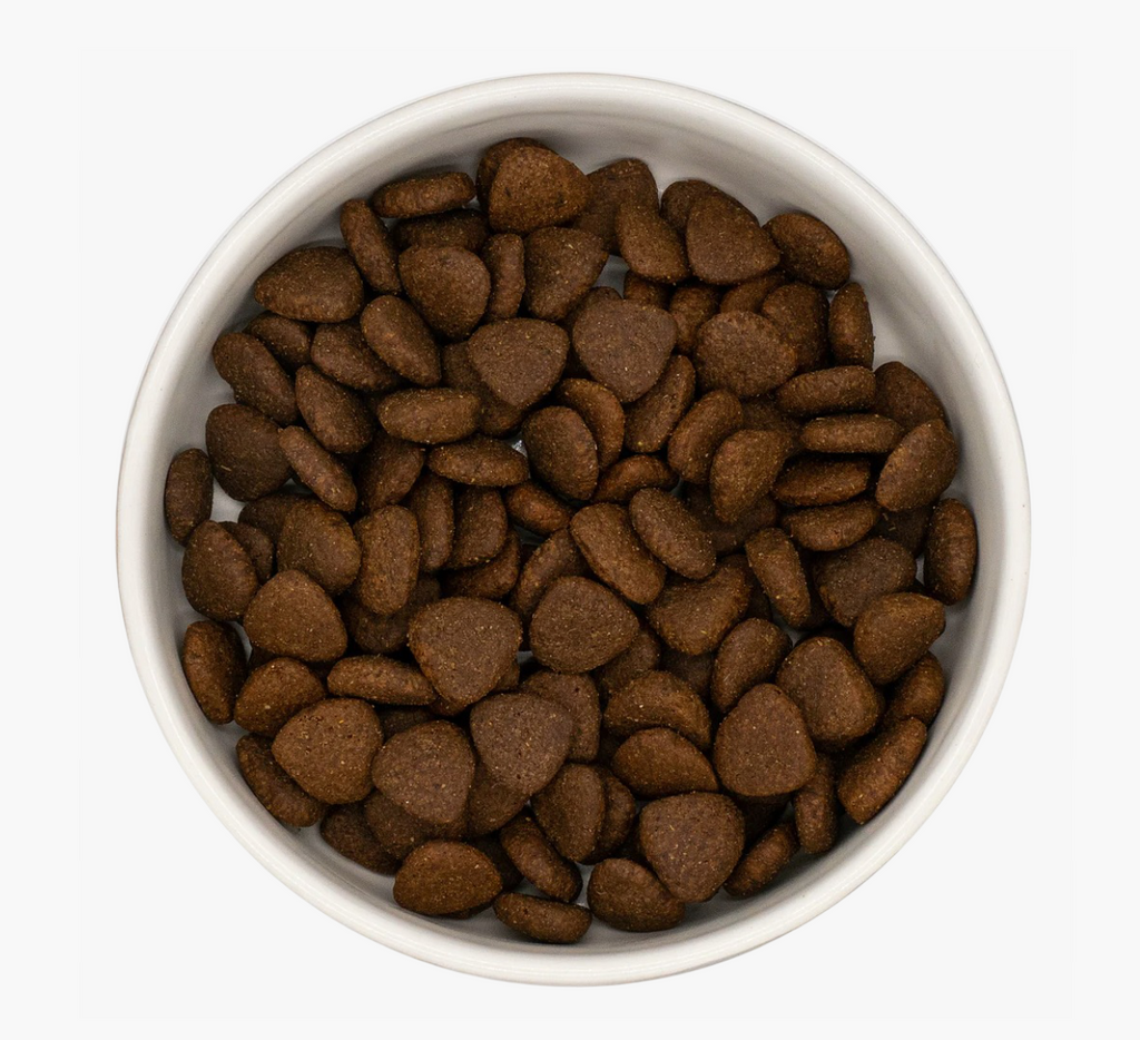 Country Barn Superfood Duck with Parsnip, Beetroot, Orange, Asparagus & Pumpkin | Adult Dog Food