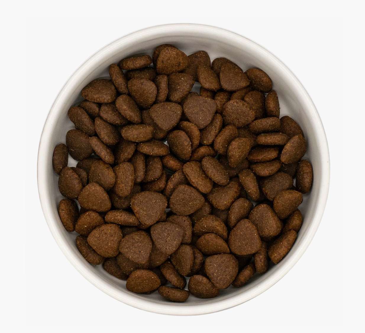 Country Barn Superfood Duck with Parsnip, Beetroot, Orange, Asparagus & Pumpkin | Adult Dog Food