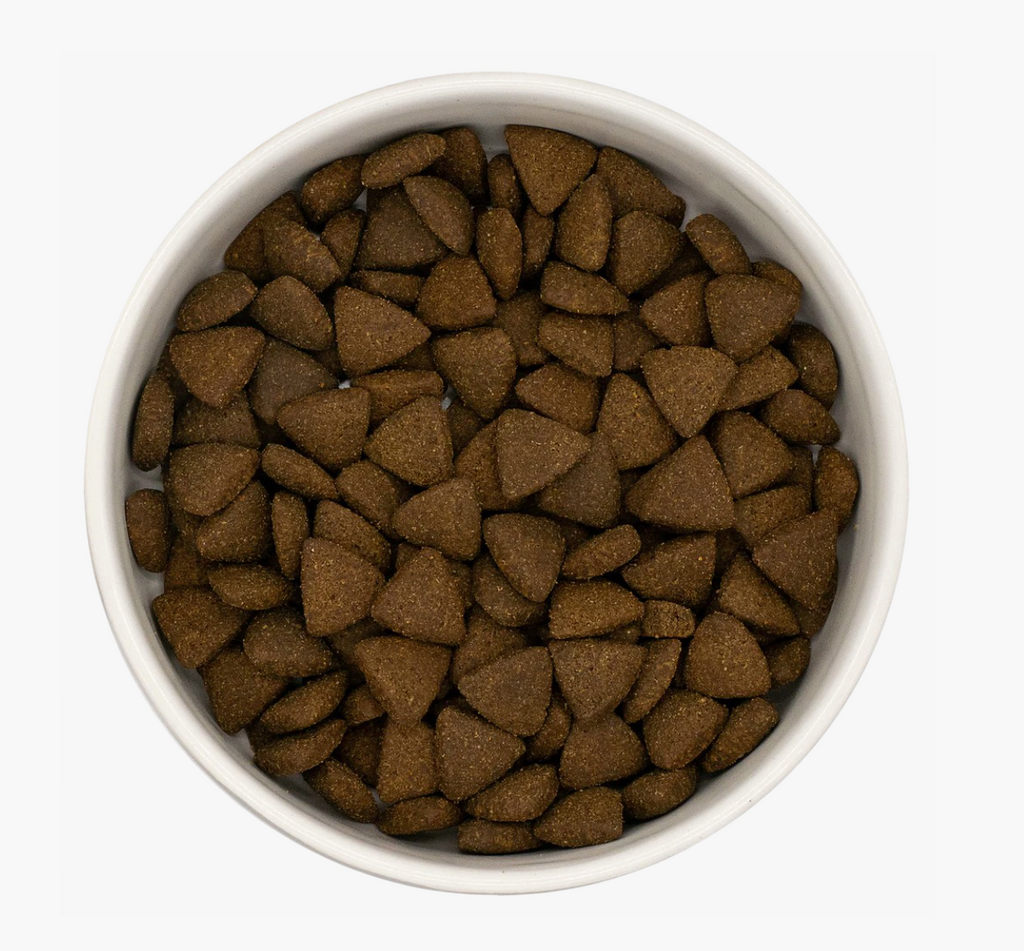 Country Barn Superfood Free-Range Turkey & Pork with Parsley, Papaya, Nettle, Zucchini & Pumpkin | Grain-Free Adult Dog Food