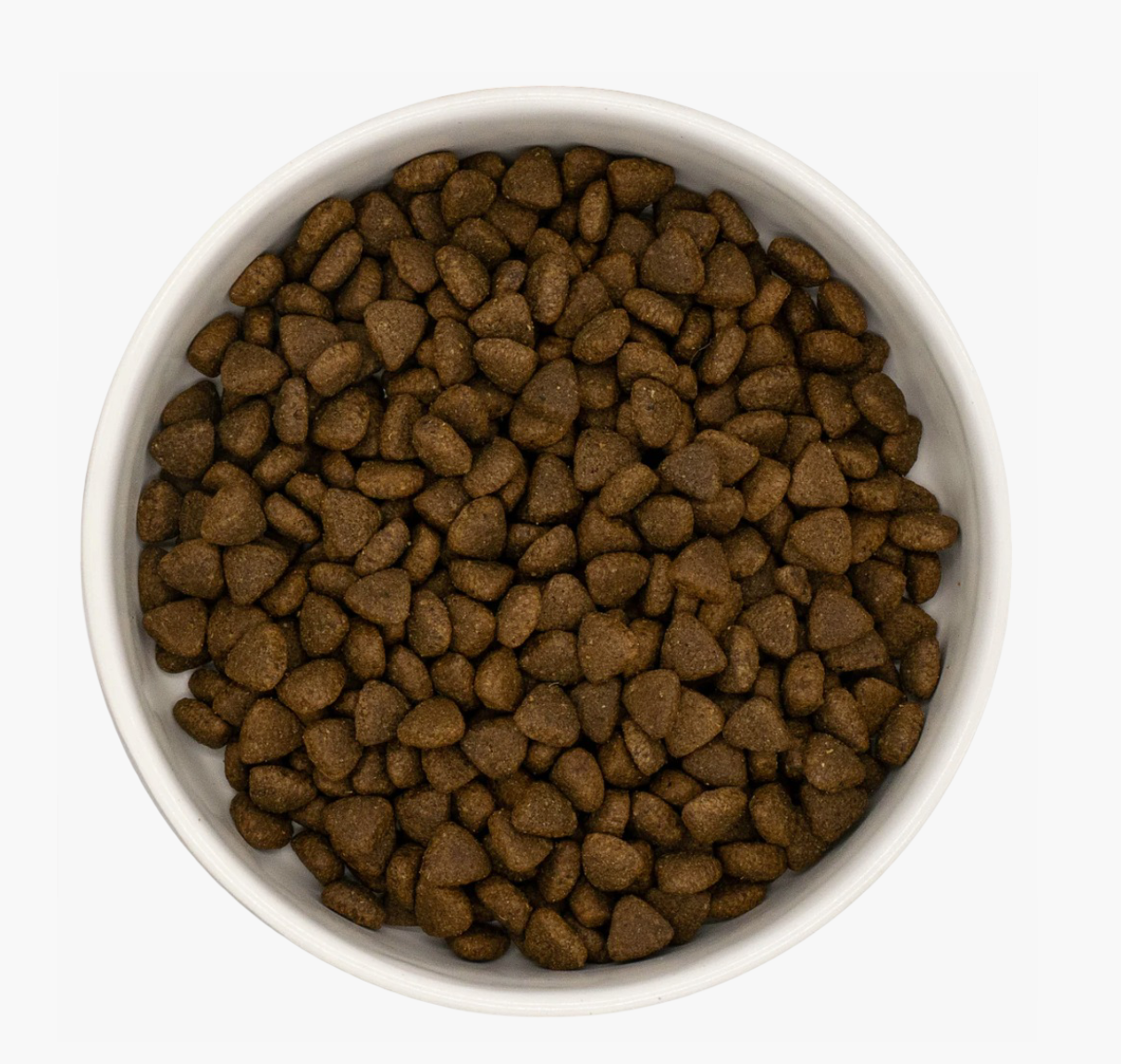 Country Barn Superfood Free-Range Turkey & Pork with Parsley, Papaya, Nettle, Zucchini & Pumpkin | Grain-Free Puppy Food