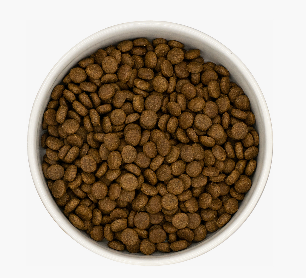 Duck & Sardine Premium+ Grain-Free Cat Food | 5kg